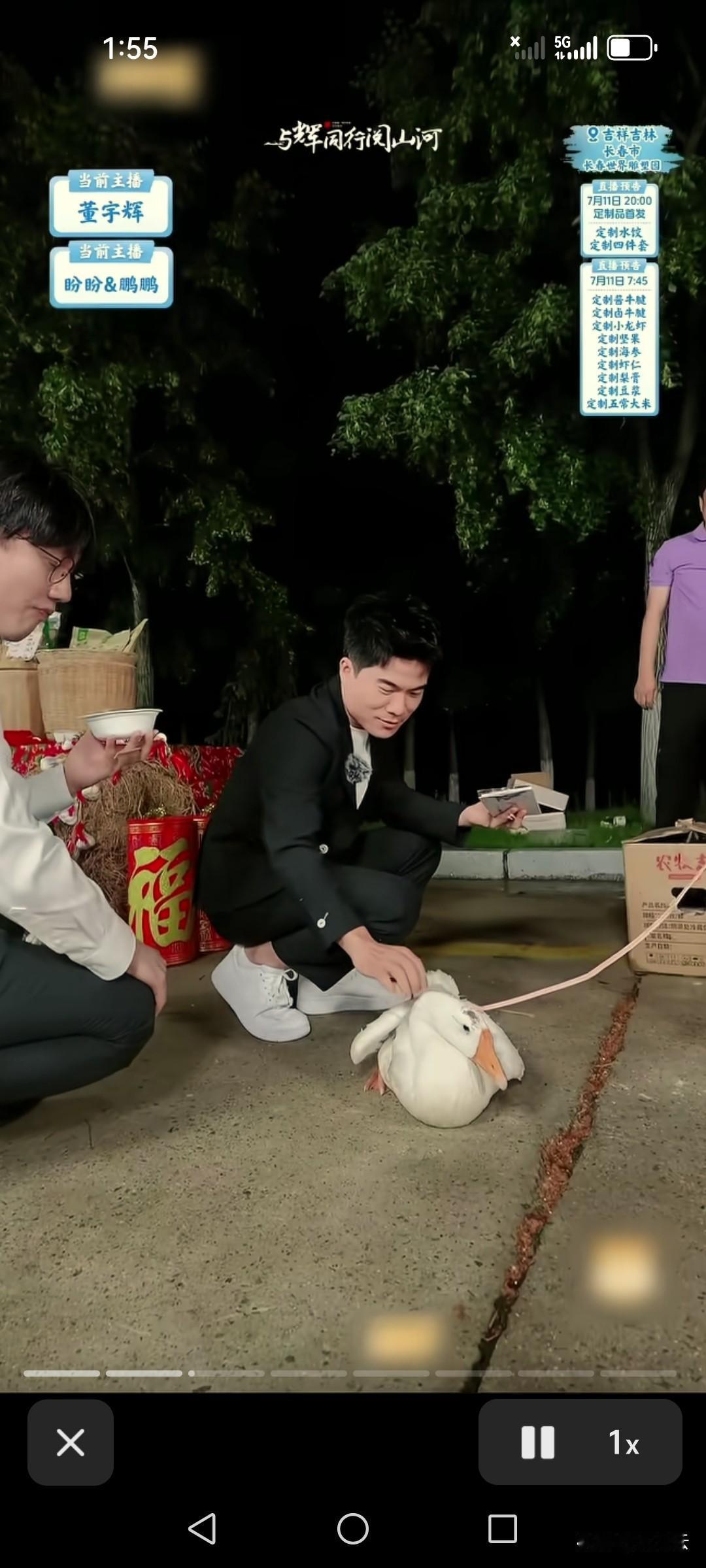 董宇辉真的让乖乖的大鹅跳脱了它的命运。而且另外一只成年大鹅也一起被送去了天鹅湖庄
