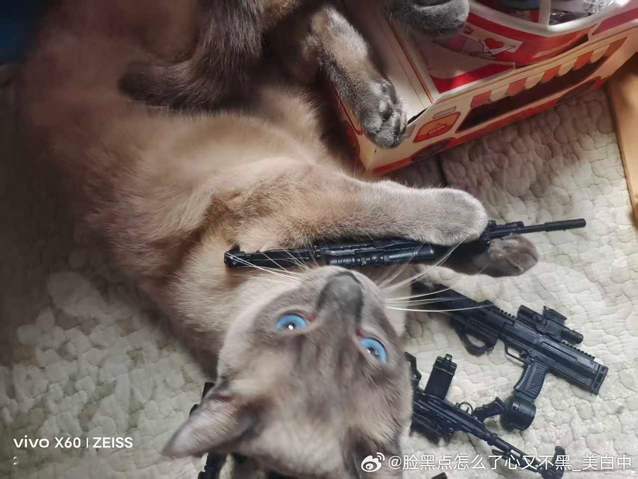 早安逼罗