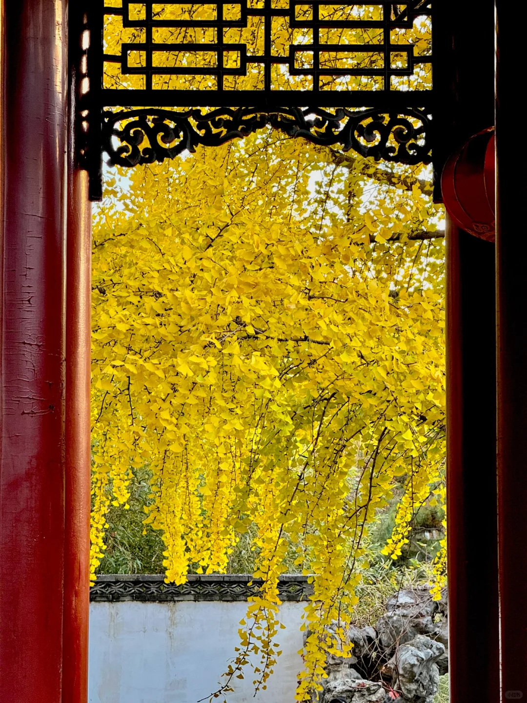 11.8实拍 ｜秋天太适合逛「甄嬛传」主题乐园啦