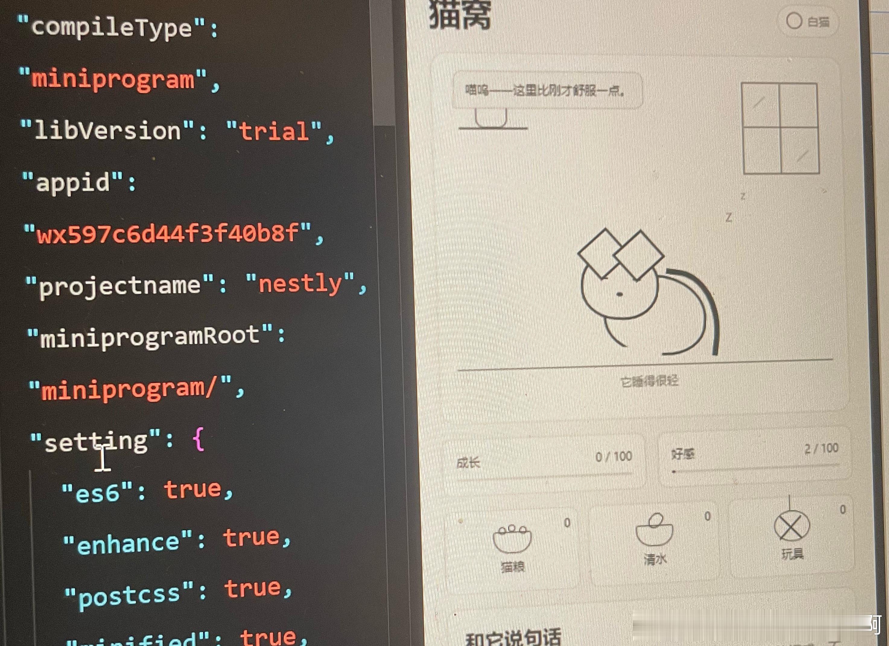 做了只猫概念猫 