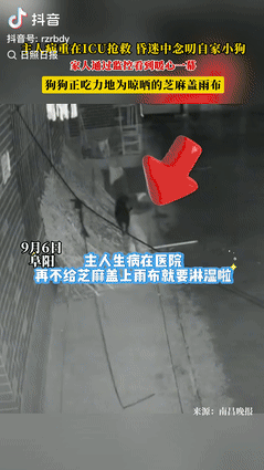 “感动坏了！”安徽阜阳，一女子生病被家人送到医院后，因病重要抢救，谁料，女子昏迷