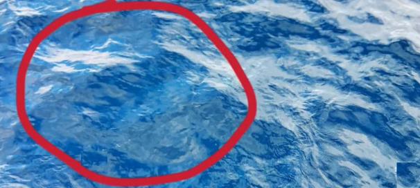 台F-16战机失事真相曝光，飞行员可能死于“自己人”之手
 
1月6日，台湾空军