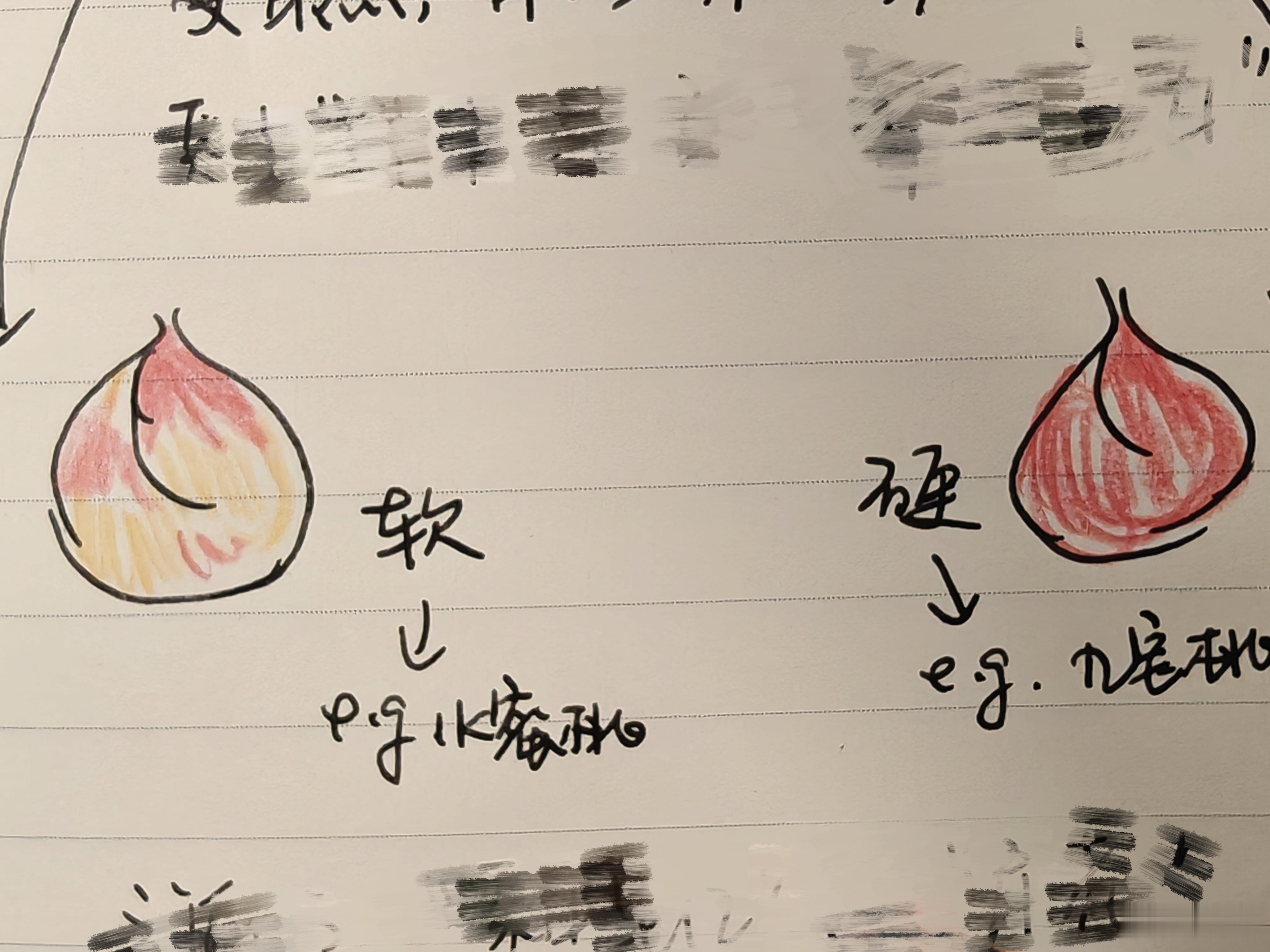 学习逐渐跑偏 脑子越飘越远 画风肆无忌惮 