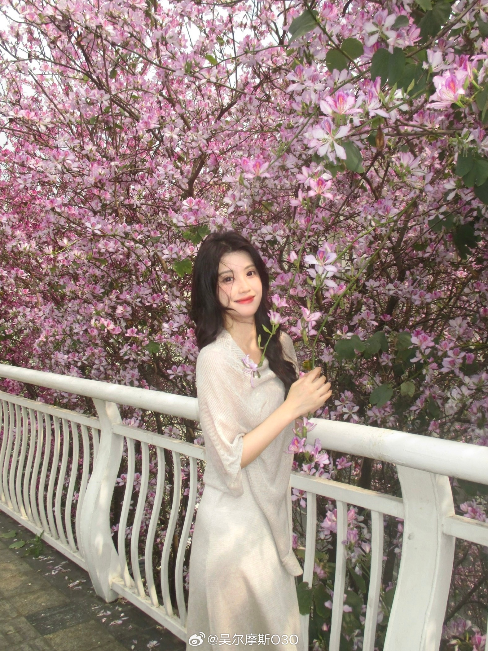 风也恩赐 光也眷顾 满城花开🌸🌸🌸 ​​​