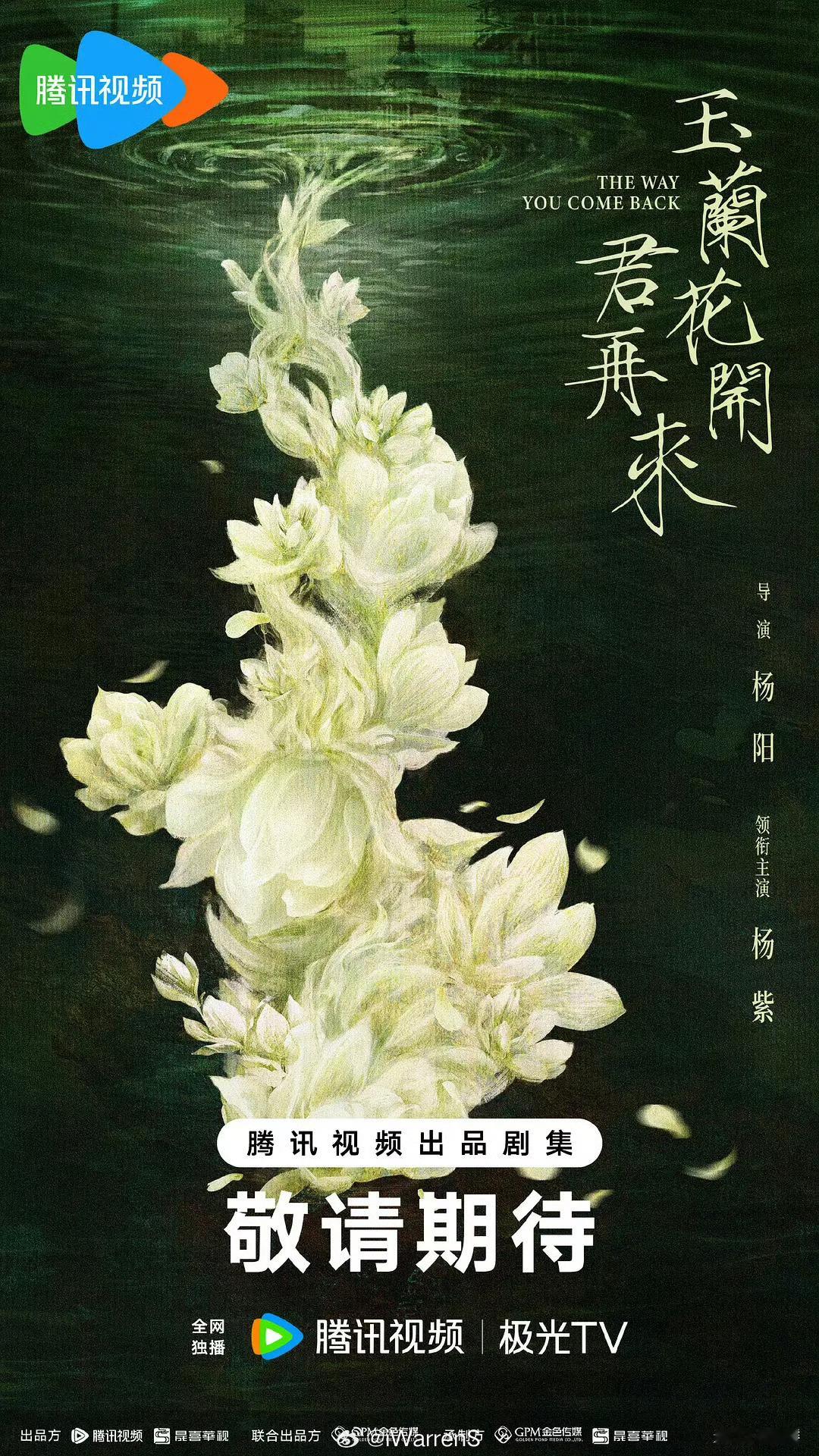 鹅的超级S+大剧：杨紫领衔主演玉兰花开君再来官宣了呀！[不愧是你]鹅厂2026大
