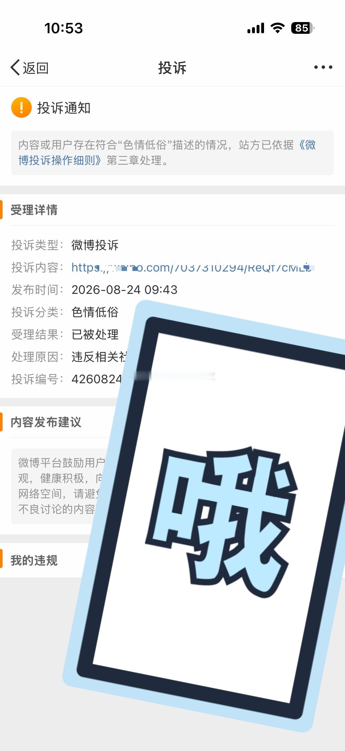 哦 