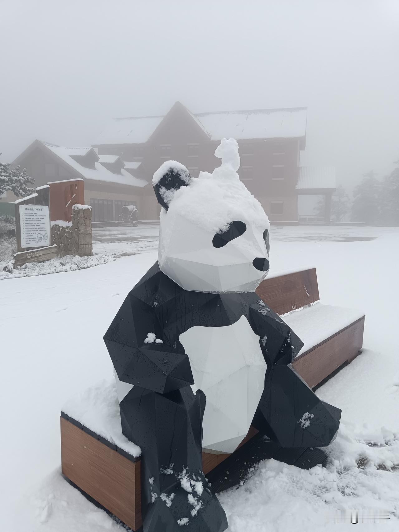 成都，2024年的第一场雪！