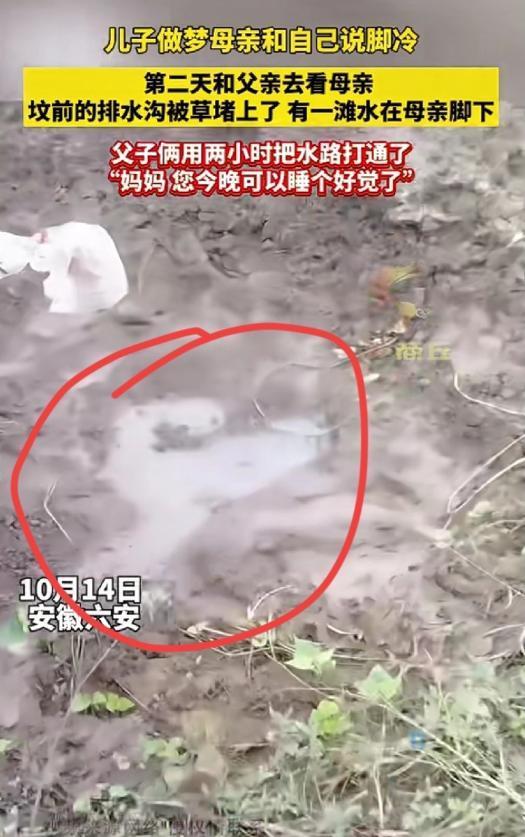 “家人们谁懂啊!”近日，安徽六安，一儿子做梦，妈妈跟他说脚冷。第二天和爸爸去坟前