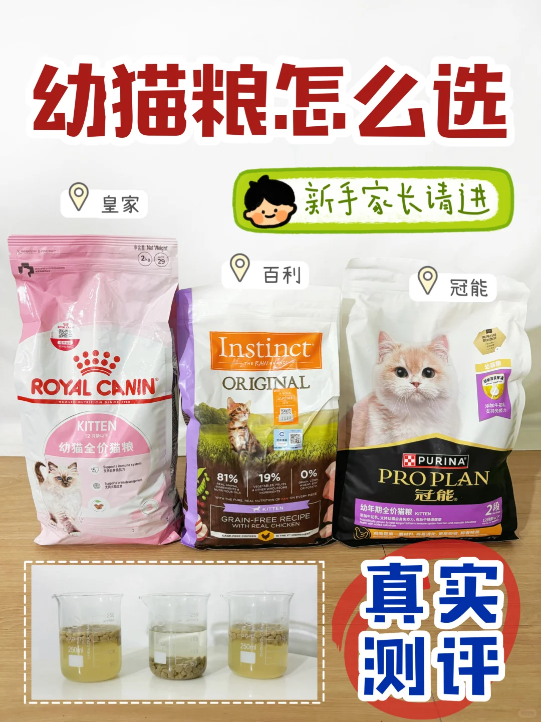 3款热门幼猫粮测评，看完不踩雷！