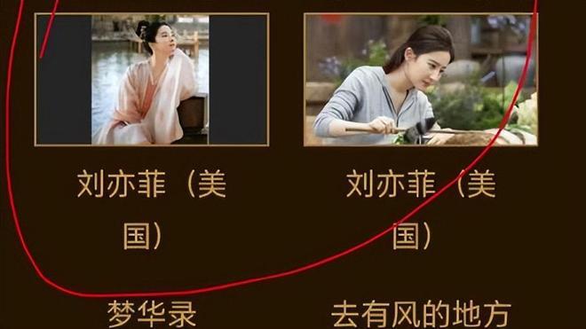刘亦菲因国籍问题无缘金鹰奖最佳女主角评选。尽管在《梦华录》和《去有风的地方》中的