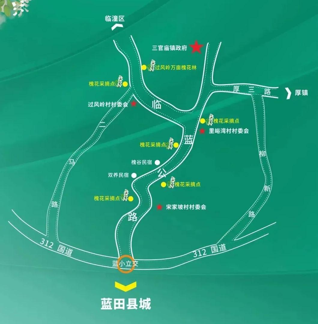 【西安摘槐花的好去处推荐！】西安槐花已逐渐开放，春天的味道藏在槐花里，一起看看西