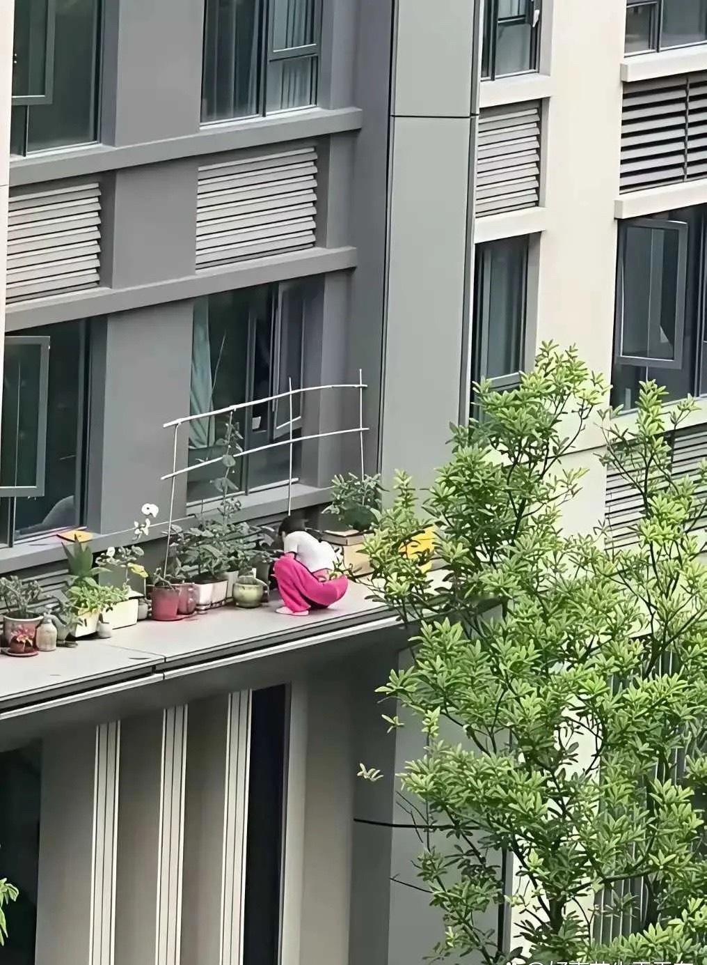 房子的价值都在她一人身上了 