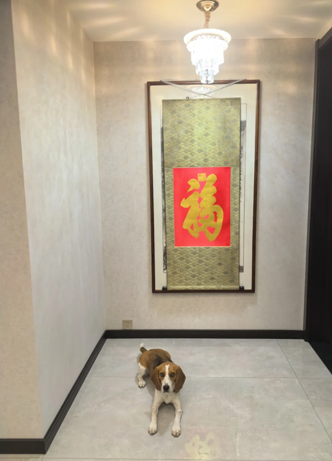 财神到我家