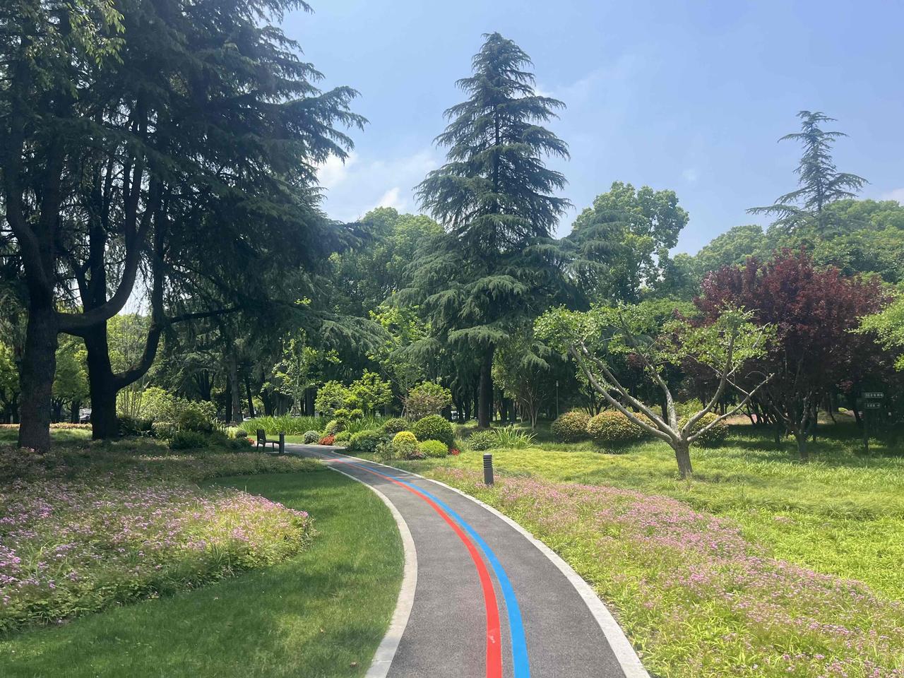 把公园融入城市，上海浦东内环做得还是不错的。这些散布在各个场馆、写字楼、居民区的