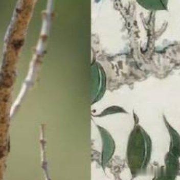 每日一善每日‬一善 阳光信用  心善，是一种美德，人善，是一种修养，真善，是一种
