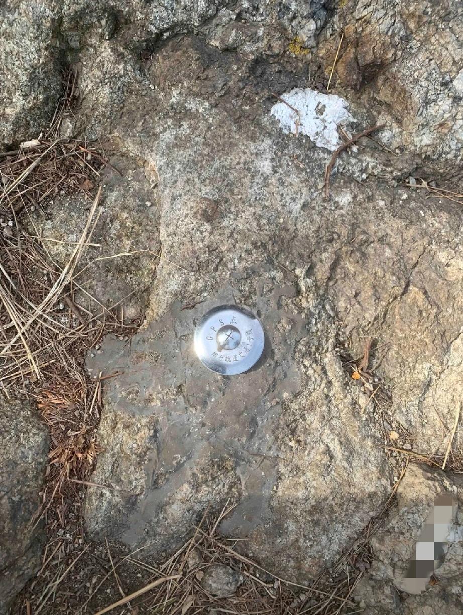 爬山看到的，挺好奇的！这是什么东西呀？谁懂啊？求解答一下！[what]