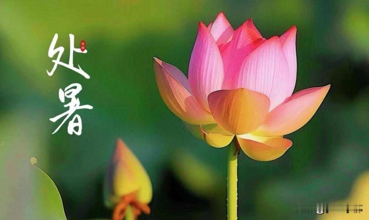 明天处暑，老话“处暑吃三样，一年无病殃”，到底是哪三样？
 
大家好，时间过得真