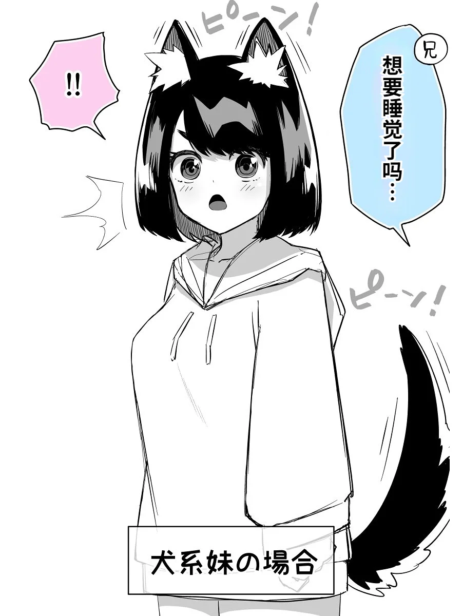 犬系妹妹or猫系妹妹会？