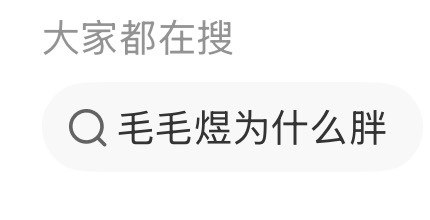 大家都在搜： ​​​