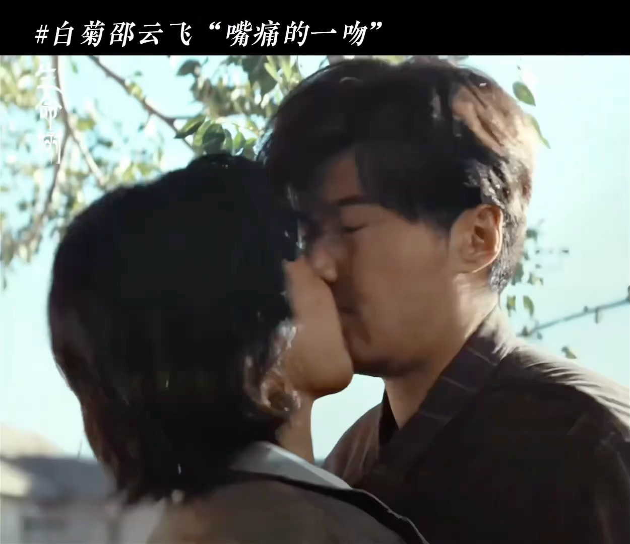 钢铁般的直女碰到了不解风情的傻狗。。。啊啊啊啊啊啊啊白菊谁教你这么亲亲小嘴巴的！