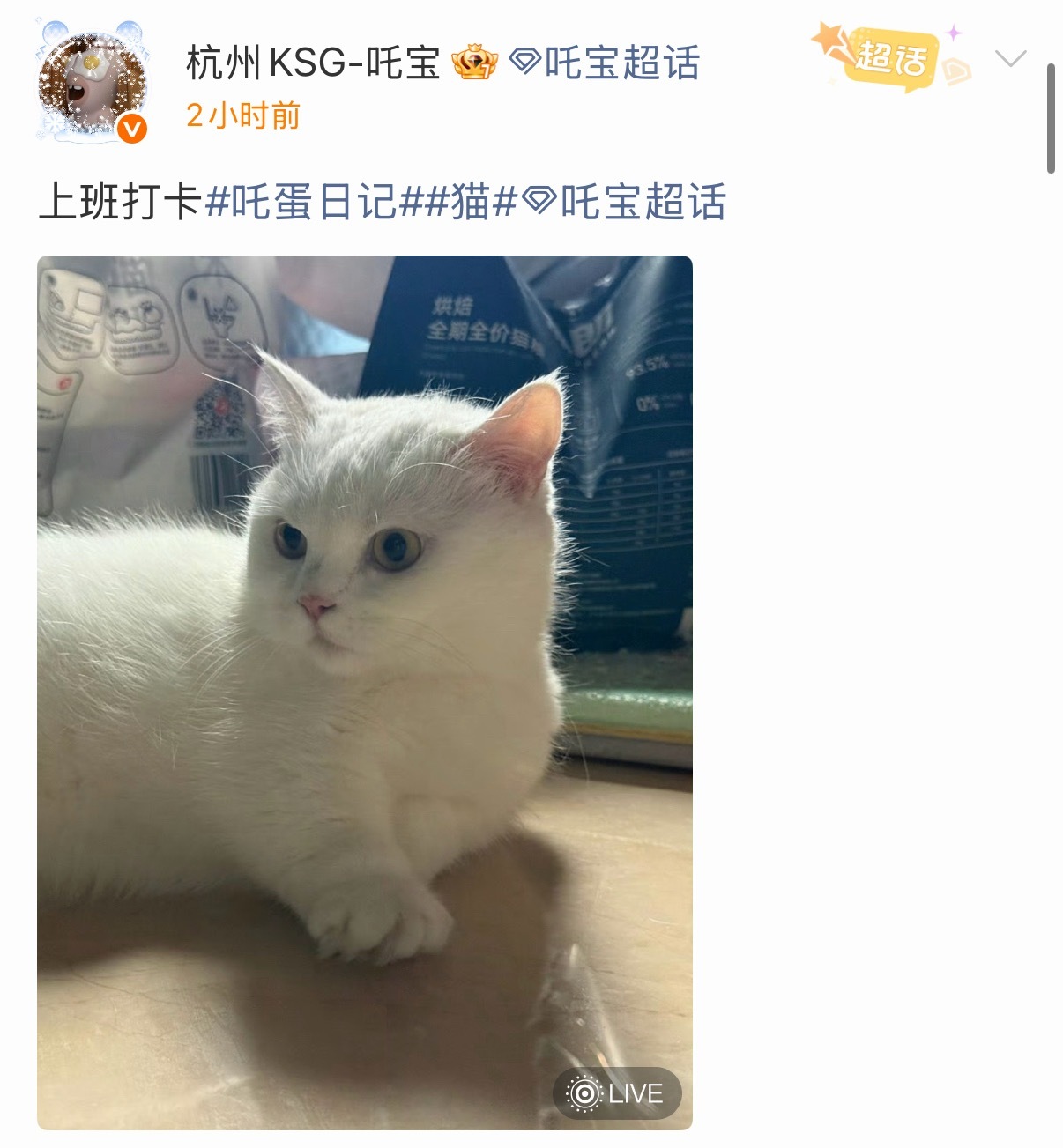 吒宝  滴～啾咪已打卡2026pel夏季赛2026pel