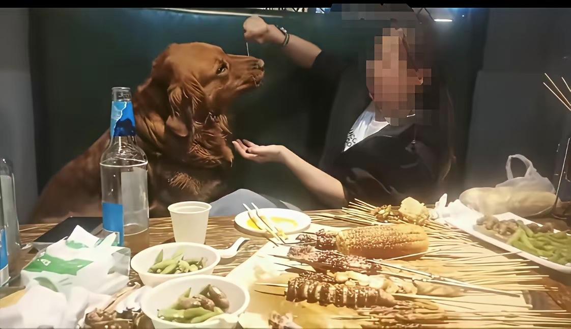 今天看到这新闻，着实膈应人！5月10日，在大连一家烧烤店内，一女子让宠物狗坐在卡