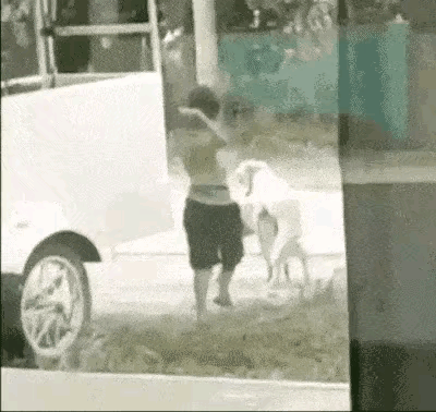 小孩子破坏了狗的好事，狗子恼羞成怒，直接就向孩子扑过来了，看着真是很危险，孩子小