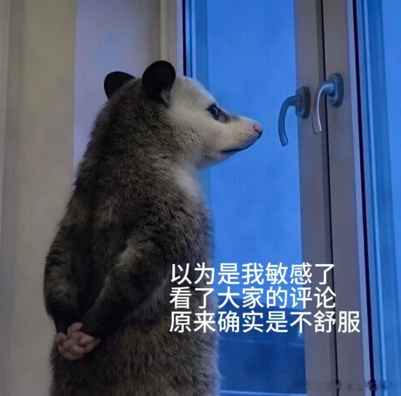 这个表情包大家可以收藏一下了不舒服文学下沉出圈，聊天是适配度100%不舒服文学下