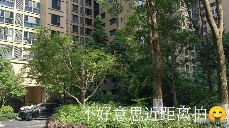 [福]愿见者都沾上喜气[烟花]
    五一佳节，双喜临门！
   今晨一出单元