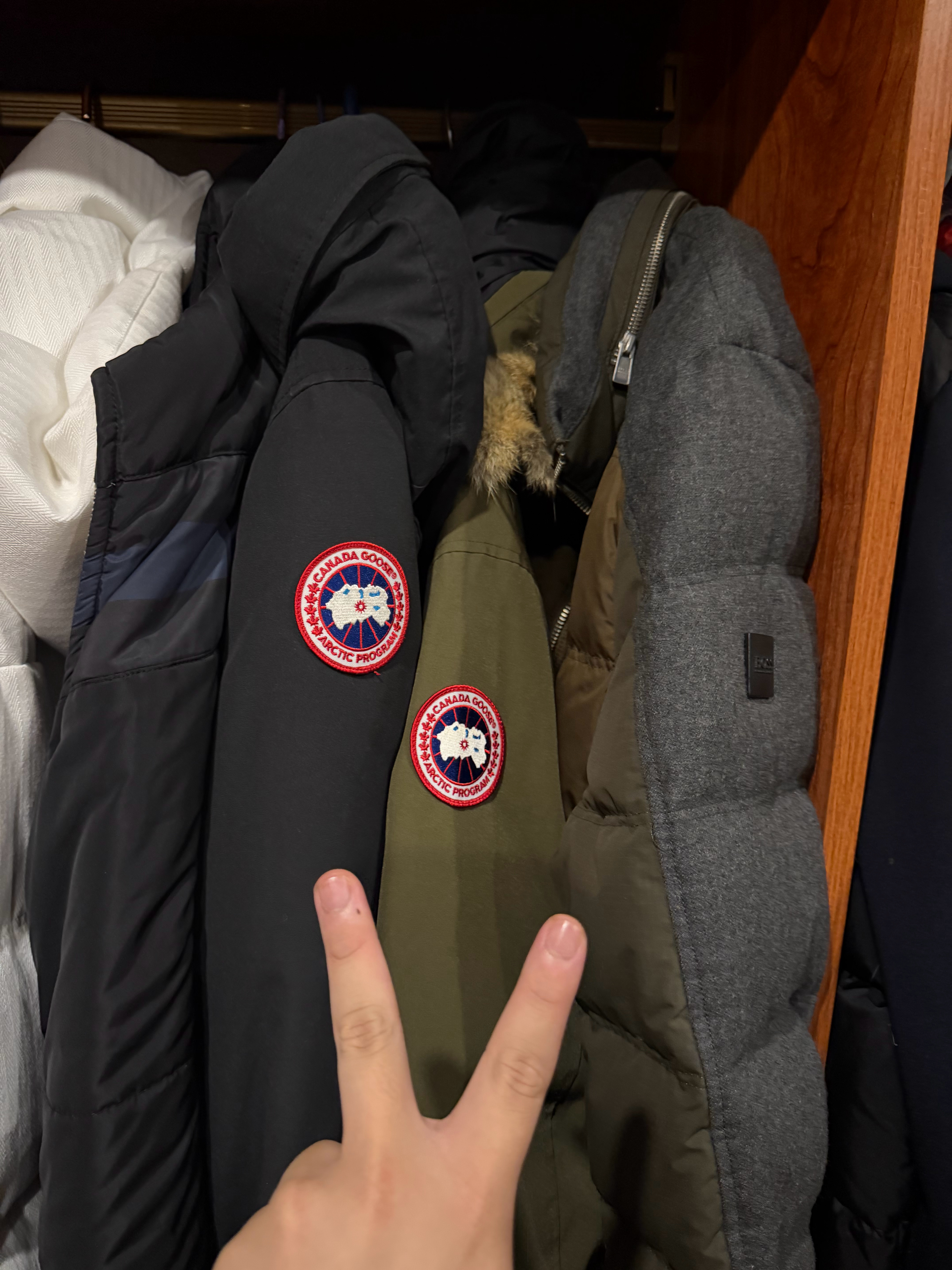 其实，加拿大鹅（Canada Goose）用的也是鸭绒