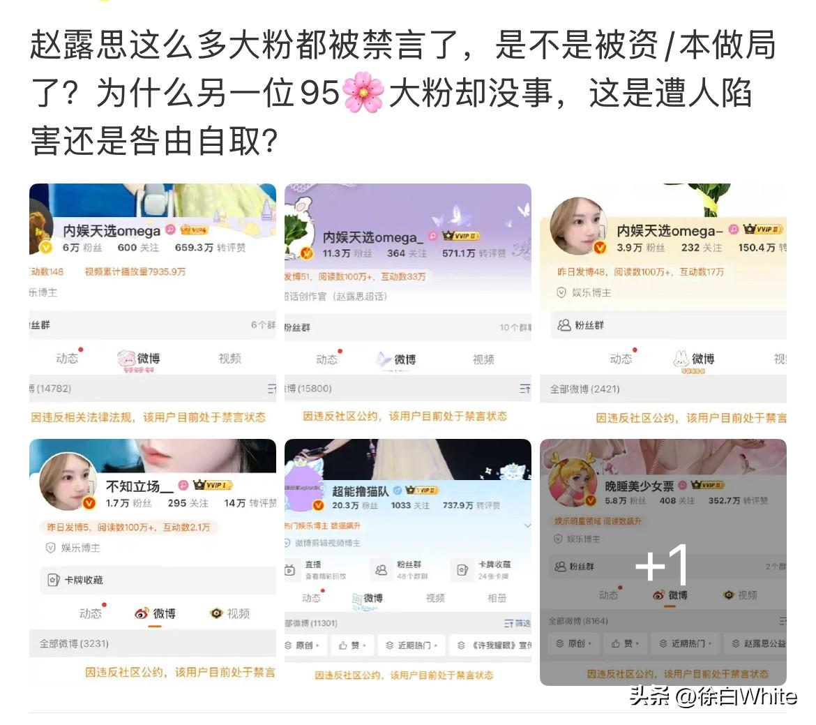 9月12日，赵露思大粉被批量禁言，此前有人爆赵露思被封原因，艺人会祸及粉丝么？