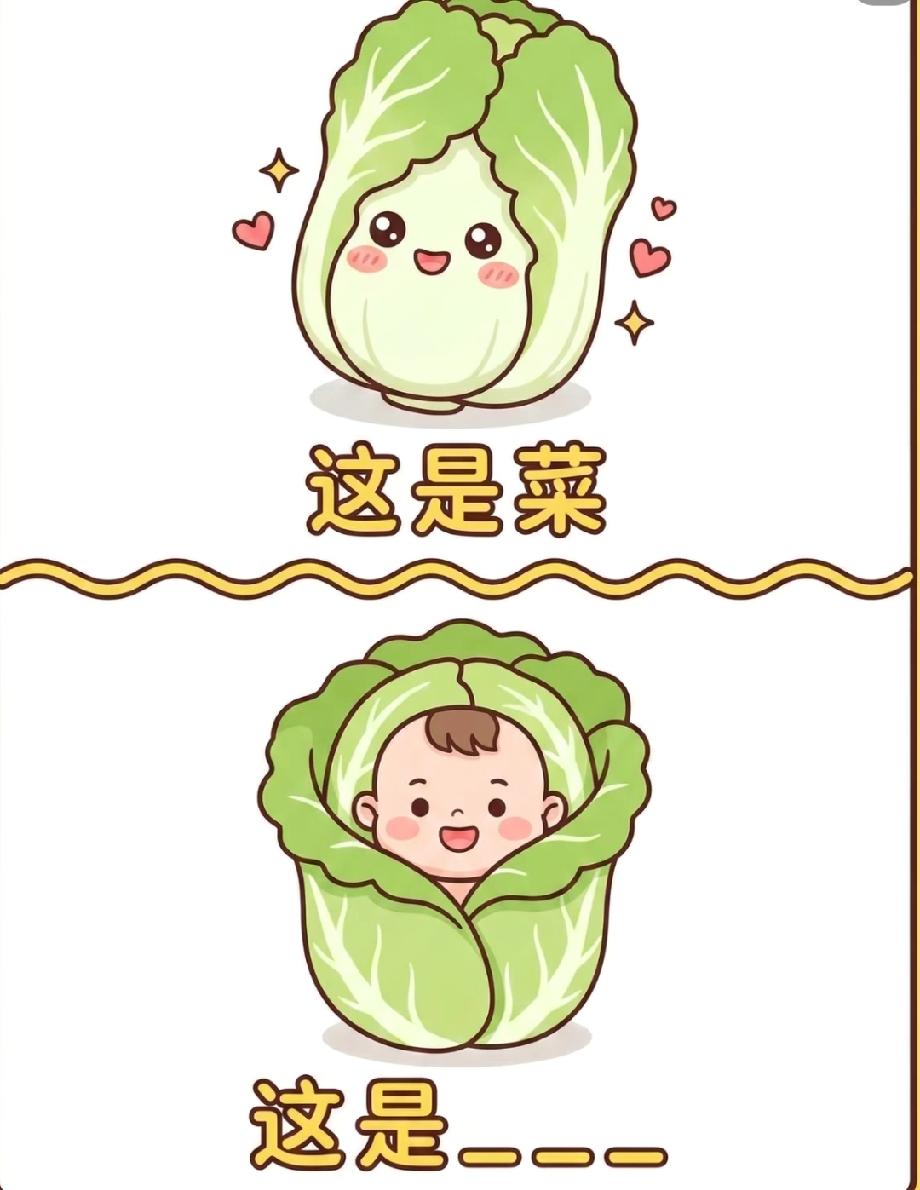 看到白菜和包着娃的白菜，我赌你猜不出答案！谁能秒解算你牛！
