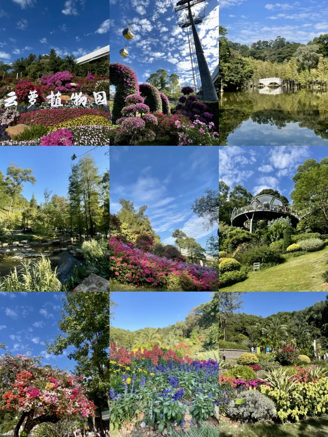广州又一新地标开园🧨云萝植物园🌳游玩路线