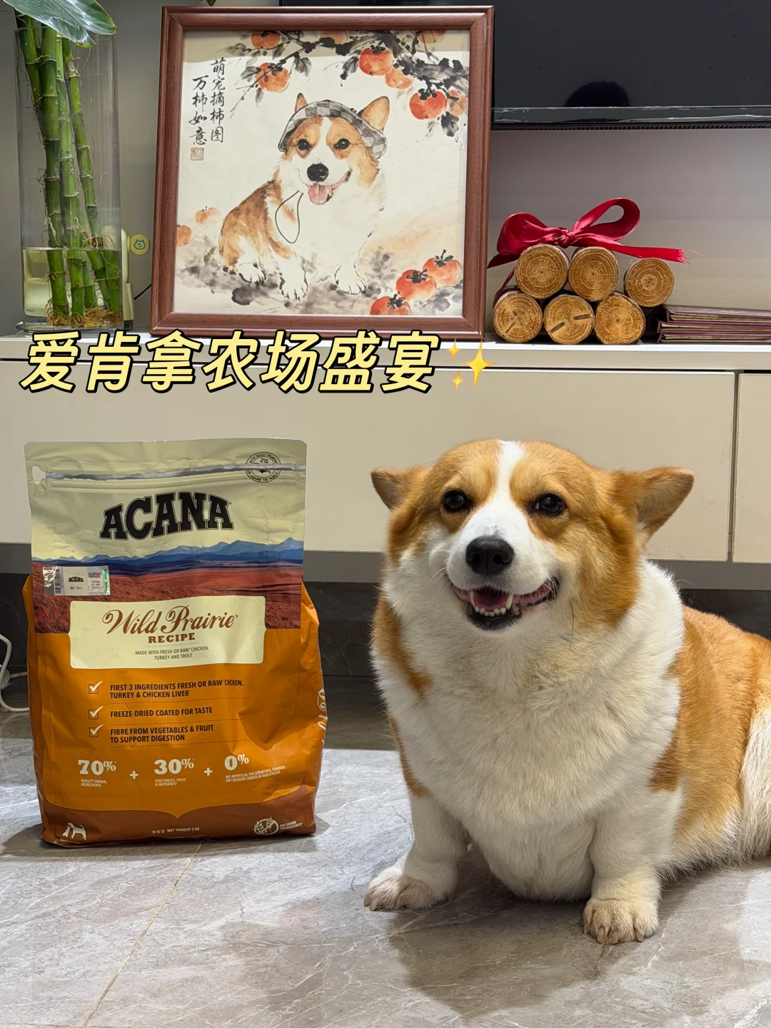 爱肯拿农场盛宴🐕真有你的！
