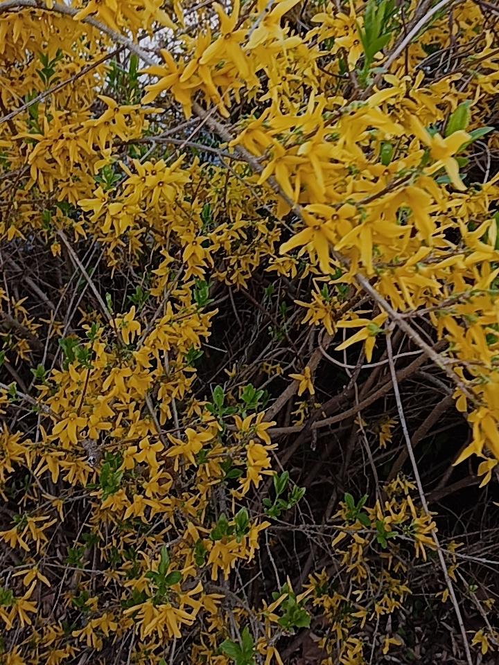 人到中年才懂，婚姻里最凉的不是吵架
 
坐标天津南开:人到中年，才慢慢看清婚姻最