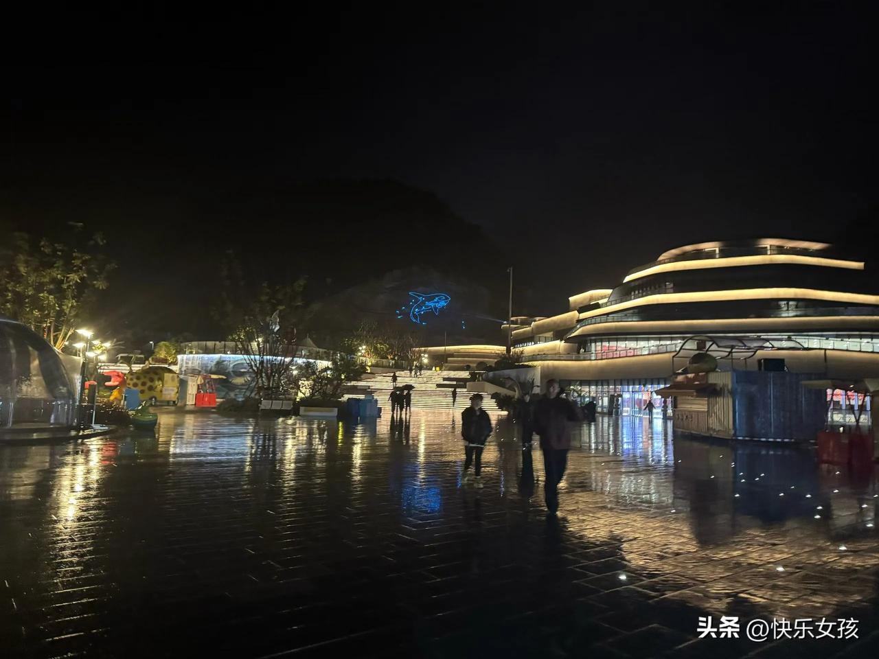单身的你,渴望找个伴吗?