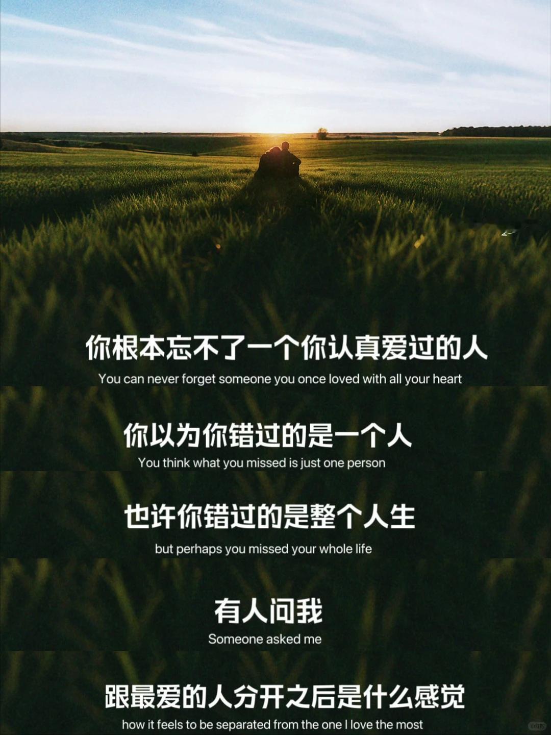 用心爱过的人，
怎么可能忘记呢？
爱一个人很累，想一个人很痛，
等一个人很苦，忘