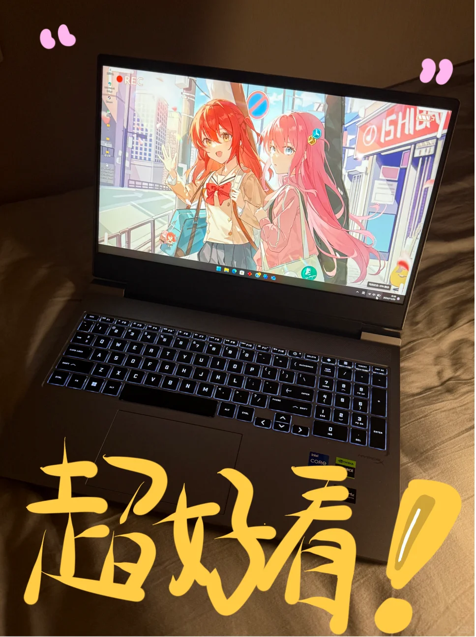 夜猫子 就是我没错了