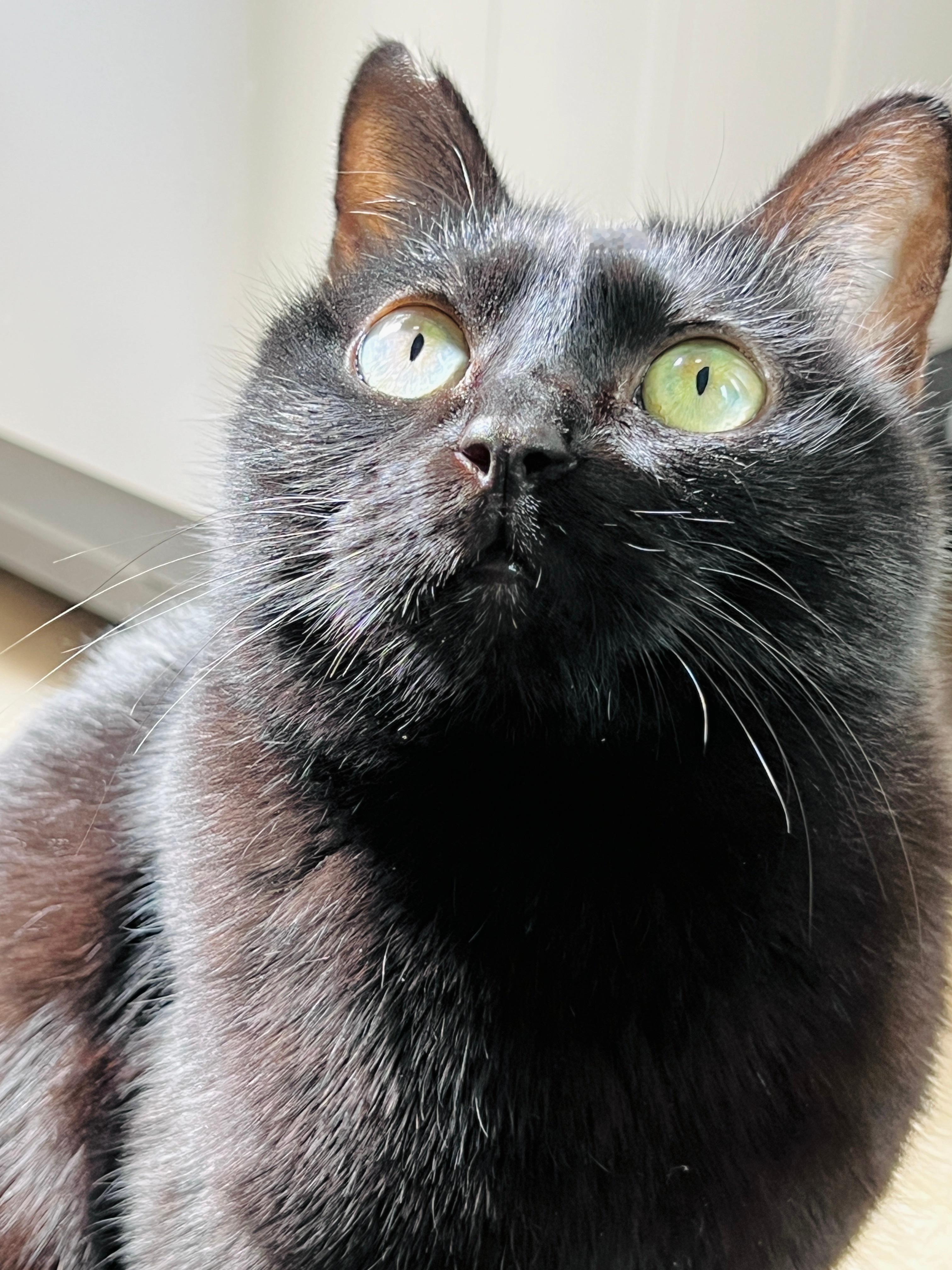 嘴嘴太黑惹～～ 