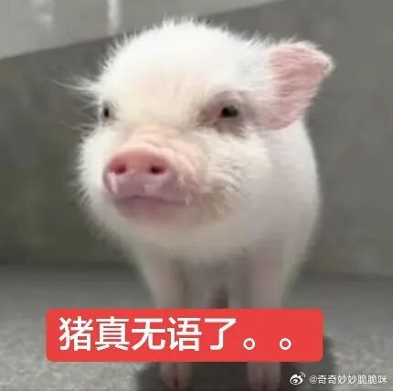 约小林杏木的到底啥心理。钱多的没处撒吗😳 ​​​