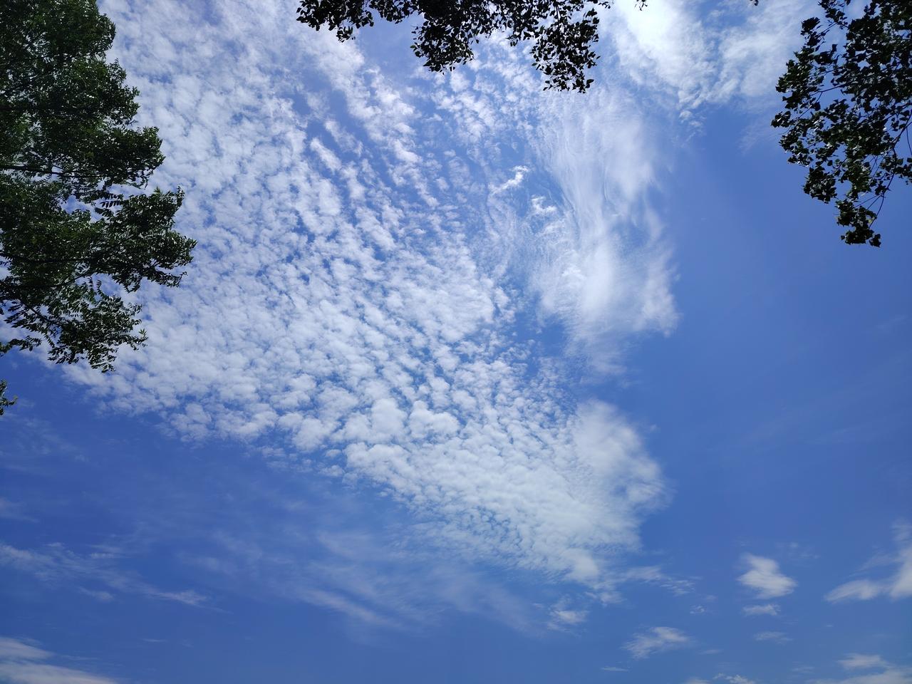 蓝天白云
2026年5月16日拍摄于武汉东湖