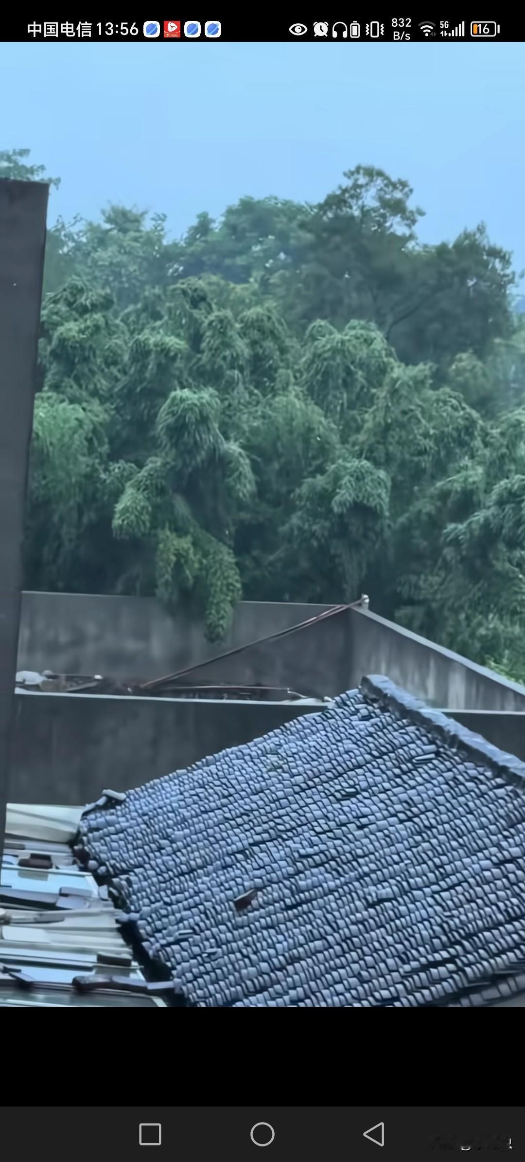 房子旁边还是不要种太多竹子，突然觉得周围都是巨人，在家旁边东张西望。
竹子属阴，