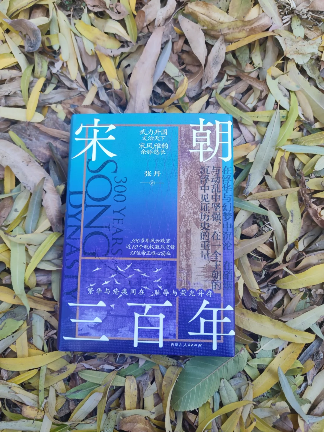 《宋朝三百年》：穿越千载，探寻宋朝繁华