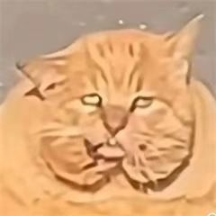 吃吧你们就 