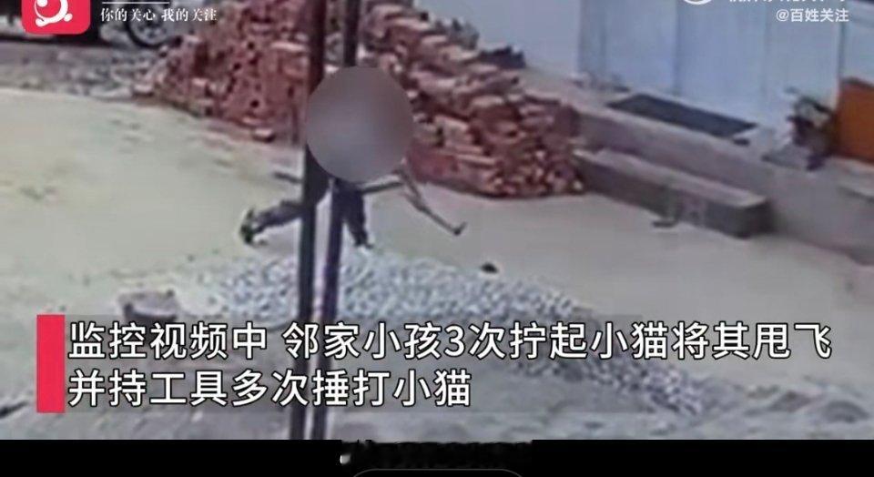 小孩多次甩飞捶打小猫致死最讨厌用“孩子还小不懂事”来道德绑架了，小时候心狠手辣摔