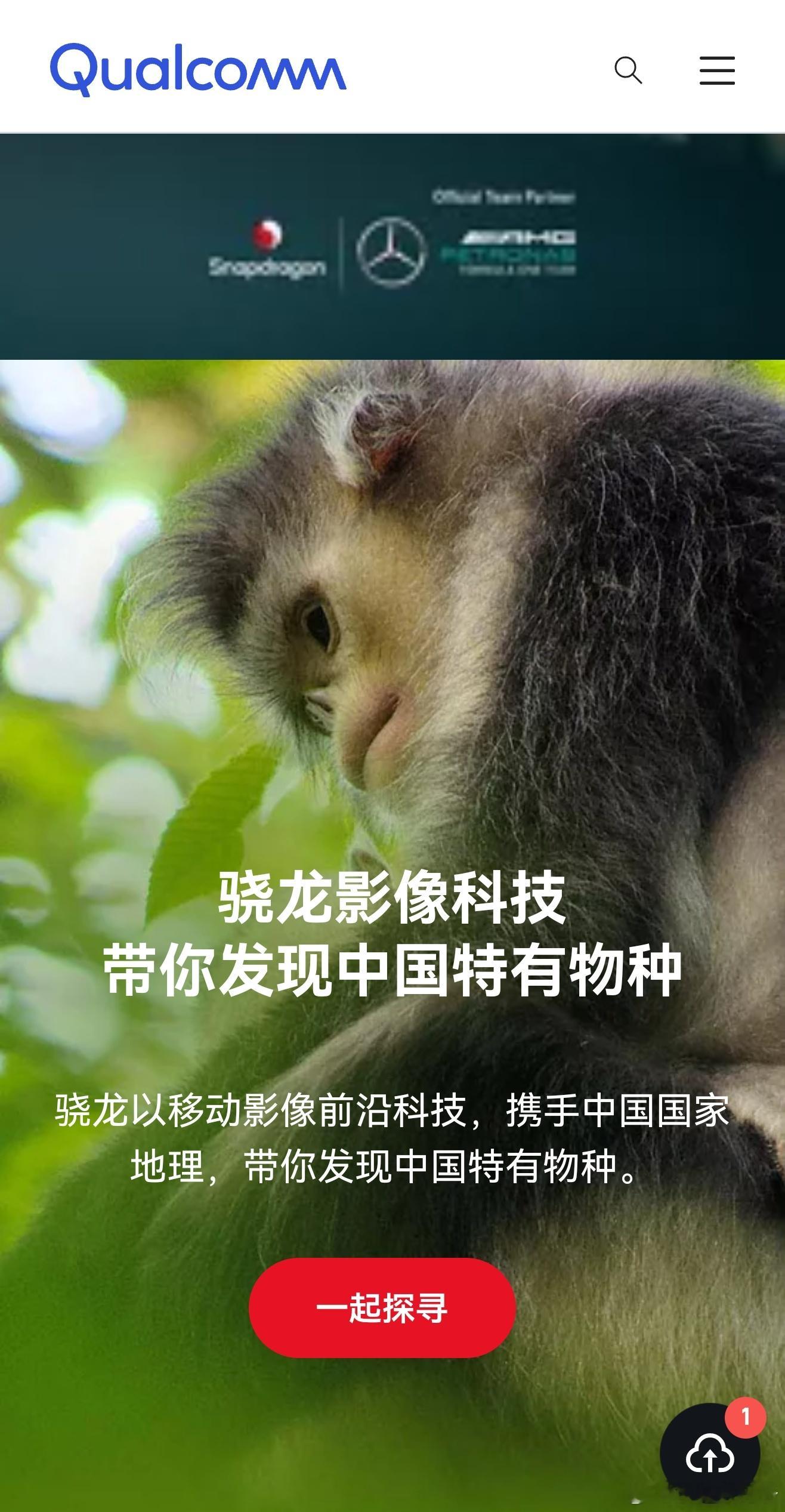 骁龙官网：骁龙影像科技，带你发现中国特有物种骁龙以移动影像前沿科技，携手中国国家