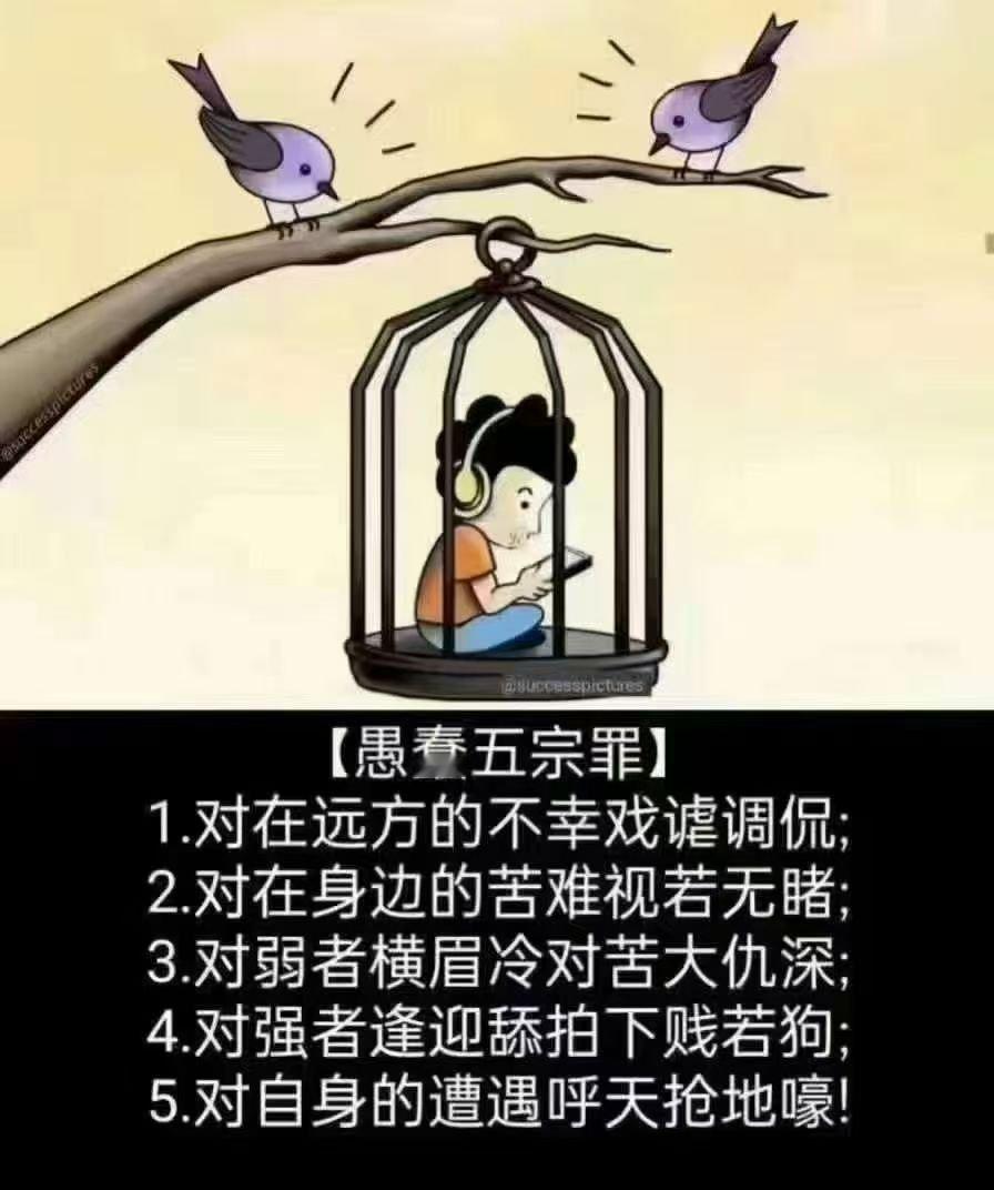 看图说话 【愚蠢五宗罪】 1．对在远方的不幸戏谑调侃；2．对在身边的苦难视若无睹