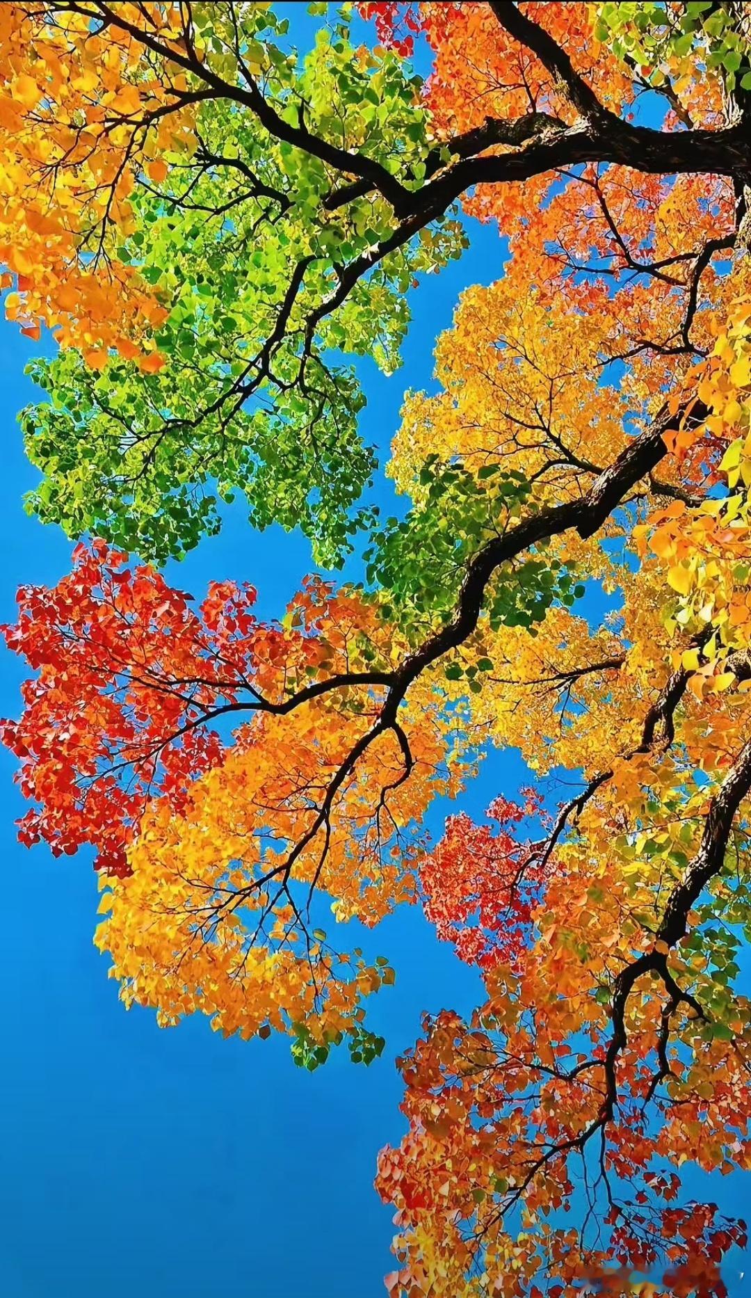 有一天当你发现做什么都不对的时候，其实不是你不错，是一份关系到头了，当一辆车消失