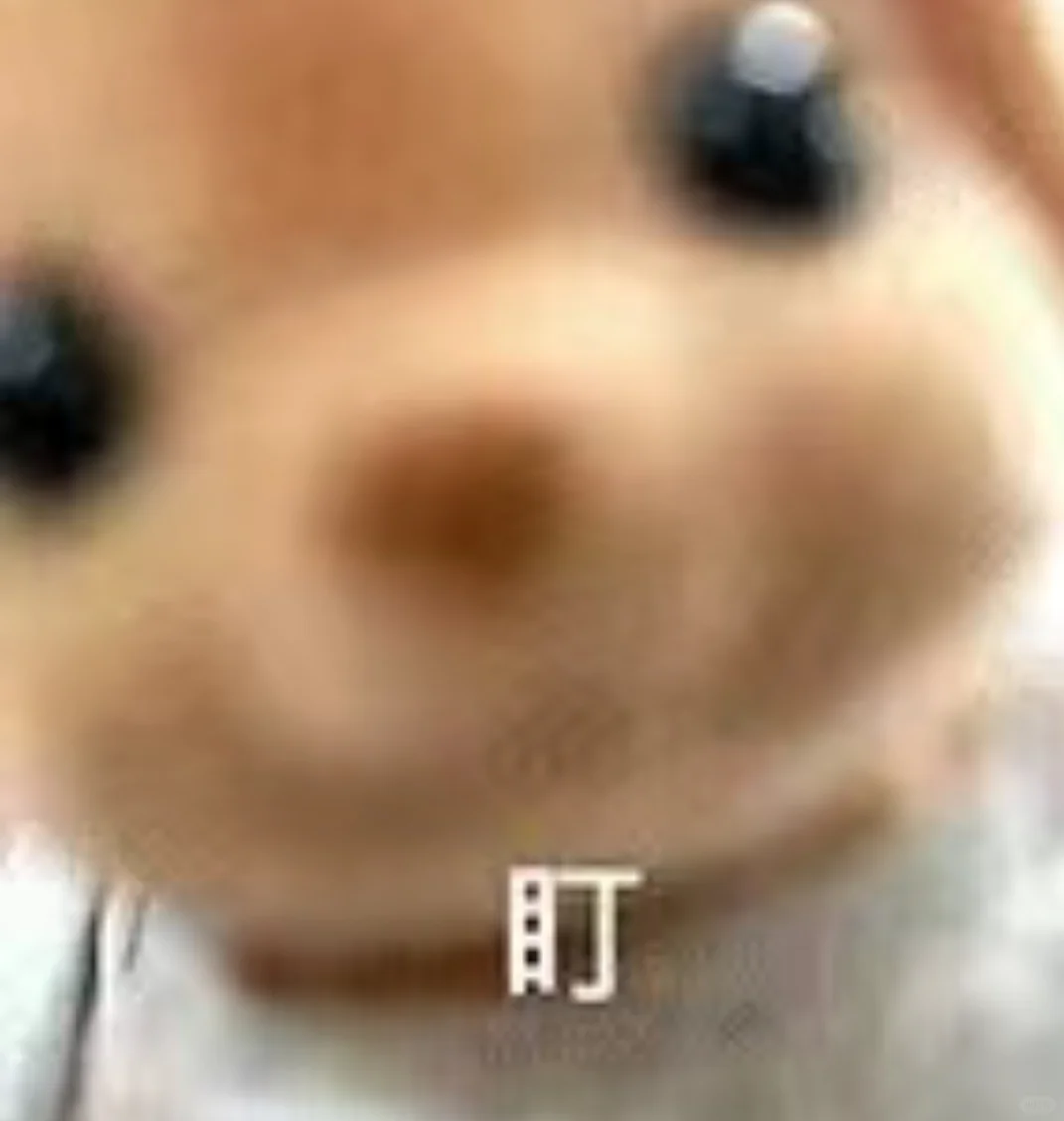 江苏某城市jyj不是我说你