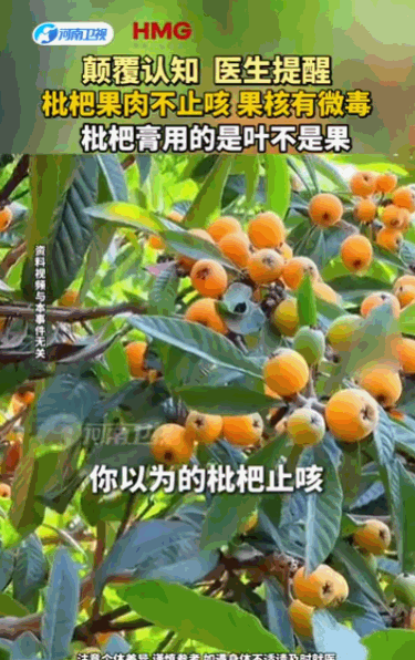吃果不知其性，岂不是白吃了？据媒体5月11日报道，枇杷果肉根本没有大家想象中那么